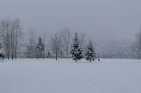 zruc134: Foto: Sněhová nadílka změnila Zruč nad Sázavou v pohádkové království