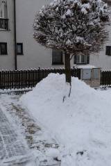 zruc136: Foto: Sněhová nadílka změnila Zruč nad Sázavou v pohádkové království
