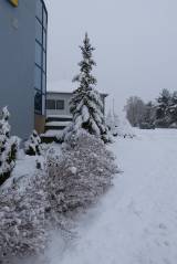 zruc164: Foto: Sněhová nadílka změnila Zruč nad Sázavou v pohádkové království