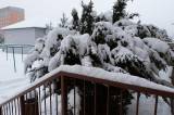 zruc167: Foto: Sněhová nadílka změnila Zruč nad Sázavou v pohádkové království