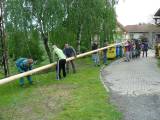 P1350930: Foto, video: Ve Vodrantech stavěli máj dvakrát, při nočním řezání přistihli hochy z Močovic