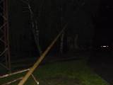 P1360674: Foto, video: Ve Vodrantech stavěli máj dvakrát, při nočním řezání přistihli hochy z Močovic