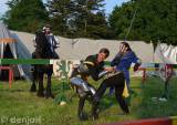DSC_0664: Foto: V parku před Zemědělskou školou budou o víkendu zuřit rytířské souboje