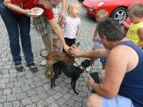 P1290643: Foto, video: Na čáslavském Žižkově náměstí obdivovali vozy značky Porsche