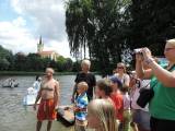 DSCN3778: Foto: První čáslavská neckyáda přilákala na Podměstský rybník plavidla i diváky