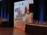 sampionat100: Foto, video: Úspěchy Taneční školy Novákovi na World Championship WADF Babylon 2013