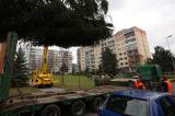 5g6h0436: Foto, video: Vánoční strom pro Kutnou Horu letos vyrostl na sídlišti v Šipší