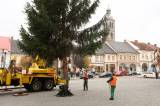 5G6H0505: Foto, video: Vánoční strom pro Kutnou Horu letos vyrostl na sídlišti v Šipší