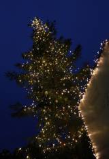 IMG_4341: Foto: Atmosféra Vánoc dorazila i do Žehušic, kde rozsvítili nově vysazený vánoční strom