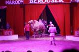 _MG_3757: Foto: V Kutné Hoře hostuje cirkus Berousek, přivezl i tradiční medvědy