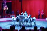 _MG_3764: Foto: V Kutné Hoře hostuje cirkus Berousek, přivezl i tradiční medvědy