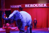 _MG_3770: Foto: V Kutné Hoře hostuje cirkus Berousek, přivezl i tradiční medvědy