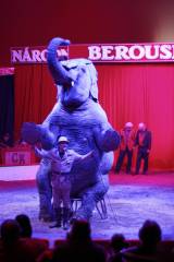 _MG_3772: Foto: V Kutné Hoře hostuje cirkus Berousek, přivezl i tradiční medvědy