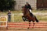 5G6H3933: Foto: Na ranči Dalu v sobotu před obědem začal desátý Sportovní den s koňmi