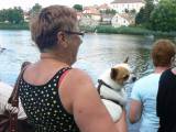 P1320964: Foto, video: Hladinu Podmětského rybníku čeřila po domácku vyrobená plavidla