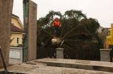 5G6H7138: Foto, video: Kutná Hora se chystá na Vánoce, na Palackého náměstí už stojí čtrnáctimetrový smrk