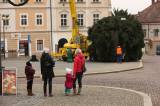 5G6H7197: Foto, video: Kutná Hora se chystá na Vánoce, na Palackého náměstí už stojí čtrnáctimetrový smrk