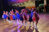 DSC_6196: Foto, video: Třiadvacátý ples Města Kolína nabídl spoustu muziky a dalšího programu