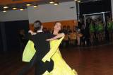 DSC_6326: Foto, video: Třiadvacátý ples Města Kolína nabídl spoustu muziky a dalšího programu