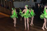 DSC_6359: Foto, video: Třiadvacátý ples Města Kolína nabídl spoustu muziky a dalšího programu