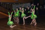 DSC_6373: Foto, video: Třiadvacátý ples Města Kolína nabídl spoustu muziky a dalšího programu