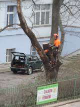 DSCN5360: Foto: V areálu čáslavské nemocnice pokáceli staré stromy a nálety