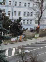DSCN5362: Foto: V areálu čáslavské nemocnice pokáceli staré stromy a nálety