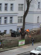 DSCN5368: Foto: V areálu čáslavské nemocnice pokáceli staré stromy a nálety