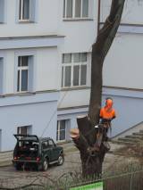 DSCN5370: Foto: V areálu čáslavské nemocnice pokáceli staré stromy a nálety