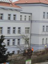 DSCN5377: Foto: V areálu čáslavské nemocnice pokáceli staré stromy a nálety