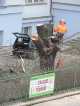 DSCN5378: Foto: V areálu čáslavské nemocnice pokáceli staré stromy a nálety