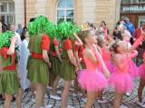 DSCN3508: Foto, video: Čáslavské slavnosti letos jako karneval a gastronomický festival!