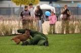 5G6H6568: Policejní psi u kutnohorského závodu Foxconn v sobotu cenili zuby