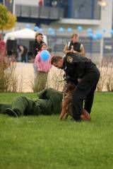 5G6H6572: Policejní psi u kutnohorského závodu Foxconn v sobotu cenili zuby