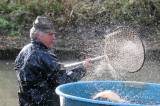 IMG_0564: Rybáři „vyprázdnili“ druhý největší rybník společnosti Městské lesy a rybníky Kutná Hora