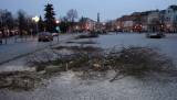 img_4643: I desítky let staré lípy v centru Čáslavi padají k zemi, na vině je jejich špatný zdravotní stav