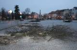 IMG_4645: I desítky let staré lípy v centru Čáslavi padají k zemi, na vině je jejich špatný zdravotní stav