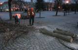 img_4655: I desítky let staré lípy v centru Čáslavi padají k zemi, na vině je jejich špatný zdravotní stav