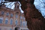 IMG_4668: I desítky let staré lípy v centru Čáslavi padají k zemi, na vině je jejich špatný zdravotní stav