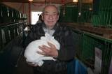 IMG_5878: Chovatelé vzali výstavu v Hostovlicích útokem, během dvou hodin nakoupili 150 králíků
