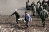 IMG_9752: Rybáři vylovili Podměstský rybník v Čáslavi do poslední rybičky