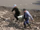 IMG_9753: Rybáři vylovili Podměstský rybník v Čáslavi do poslední rybičky