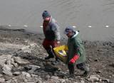 IMG_9759: Rybáři vylovili Podměstský rybník v Čáslavi do poslední rybičky