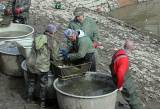 IMG_9769: Rybáři vylovili Podměstský rybník v Čáslavi do poslední rybičky