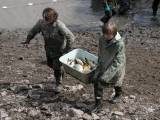IMG_9774: Rybáři vylovili Podměstský rybník v Čáslavi do poslední rybičky