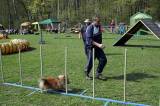 IMG_0600: Kutnohorské kynologické cvičiště hostilo závody psů v agility 