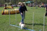 IMG_0610: Kutnohorské kynologické cvičiště hostilo závody psů v agility 