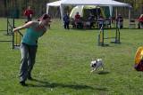 IMG_0614: Kutnohorské kynologické cvičiště hostilo závody psů v agility 