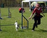 IMG_0630: Kutnohorské kynologické cvičiště hostilo závody psů v agility 