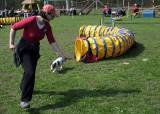 IMG_0636: Kutnohorské kynologické cvičiště hostilo závody psů v agility 